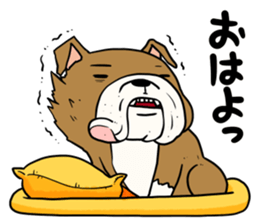 Jake sticker #10221517