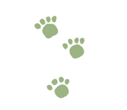 The detective cat sticker #10222460