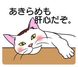 Lazy cat sticker 2 sticker #10223607