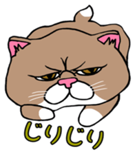 BUSANEKO Two cats MUSASHI and KOJIROU sticker #10225553