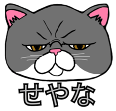 BUSANEKO Two cats MUSASHI and KOJIROU sticker #10225555