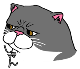 BUSANEKO Two cats MUSASHI and KOJIROU sticker #10225556