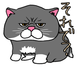 BUSANEKO Two cats MUSASHI and KOJIROU sticker #10225557