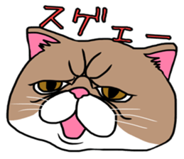 BUSANEKO Two cats MUSASHI and KOJIROU sticker #10225560