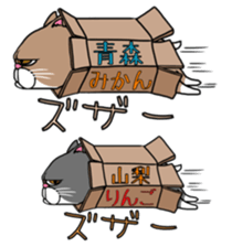 BUSANEKO Two cats MUSASHI and KOJIROU sticker #10225562