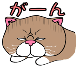 BUSANEKO Two cats MUSASHI and KOJIROU sticker #10225567