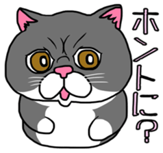 BUSANEKO Two cats MUSASHI and KOJIROU sticker #10225570