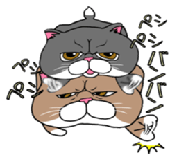 BUSANEKO Two cats MUSASHI and KOJIROU sticker #10225572