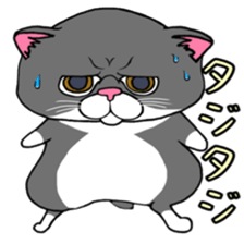 BUSANEKO Two cats MUSASHI and KOJIROU sticker #10225574