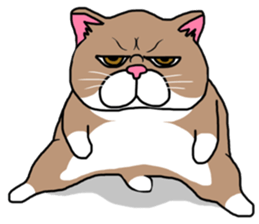 BUSANEKO Two cats MUSASHI and KOJIROU sticker #10225575