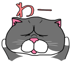 BUSANEKO Two cats MUSASHI and KOJIROU sticker #10225577