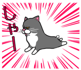 BUSANEKO Two cats MUSASHI and KOJIROU sticker #10225579