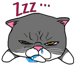 BUSANEKO Two cats MUSASHI and KOJIROU sticker #10225580