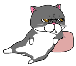 BUSANEKO Two cats MUSASHI and KOJIROU sticker #10225581