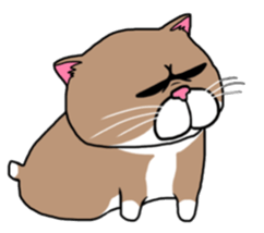 BUSANEKO Two cats MUSASHI and KOJIROU sticker #10225582