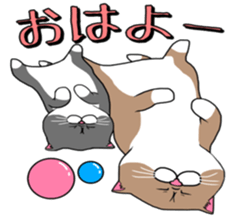 BUSANEKO Two cats MUSASHI and KOJIROU sticker #10225583