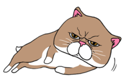 BUSANEKO Two cats MUSASHI and KOJIROU sticker #10225585