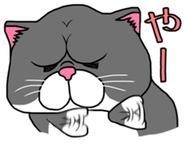 BUSANEKO Two cats MUSASHI and KOJIROU sticker #10225586