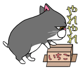 BUSANEKO Two cats MUSASHI and KOJIROU sticker #10225589