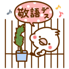 Every day, SHIRO, Part2