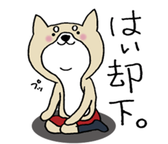 Dog not snapped. sticker #10227799