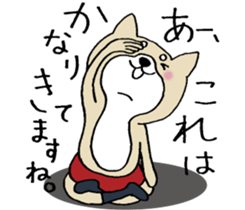 Dog not snapped. sticker #10227802