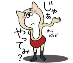 Dog not snapped. sticker #10227806