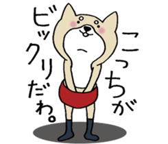 Dog not snapped. sticker #10227812