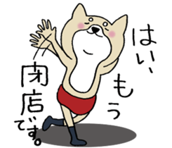 Dog not snapped. sticker #10227814