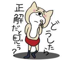 Dog not snapped. sticker #10227828