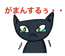 black-cat sticker sticker #10228594