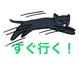 black-cat sticker sticker #10228612