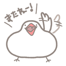 -Java sparrow, such as rice cake- sticker #10229796