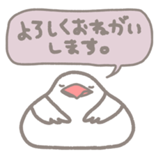 -Java sparrow, such as rice cake- sticker #10229806
