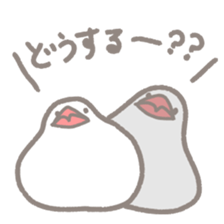 -Java sparrow, such as rice cake- sticker #10229813