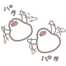 -Java sparrow, such as rice cake- sticker #10229819
