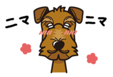 iinu - Airedale Terrier sticker #10233253