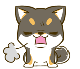 Japanese Black Shiba Inu tan 4 sticker #10234053