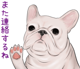 Pug and Bulldog sticker vol.2 sticker #10235064