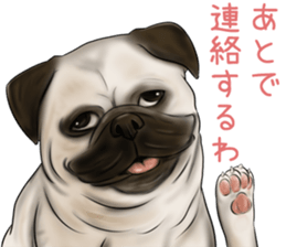 Pug and Bulldog sticker vol.2 sticker #10235065