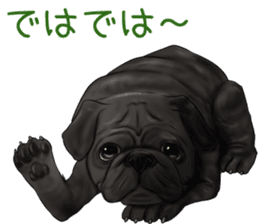 Pug and Bulldog sticker vol.2 sticker #10235070