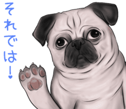 Pug and Bulldog sticker vol.2 sticker #10235072