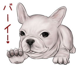 Pug and Bulldog sticker vol.2 sticker #10235075