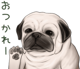 Pug and Bulldog sticker vol.2 sticker #10235083
