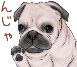 Pug and Bulldog sticker vol.2 sticker #10235084