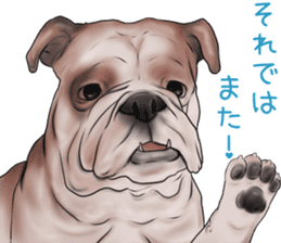 Pug and Bulldog sticker vol.2 sticker #10235085