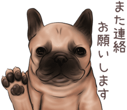 Pug and Bulldog sticker vol.2 sticker #10235090