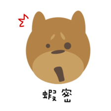 About secret map sticker #10236539