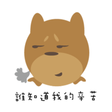 About secret map sticker #10236550