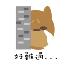 About secret map sticker #10236575